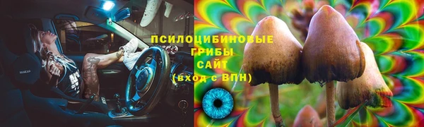 метадон Ладушкин