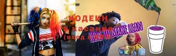 ECSTASY Лагань